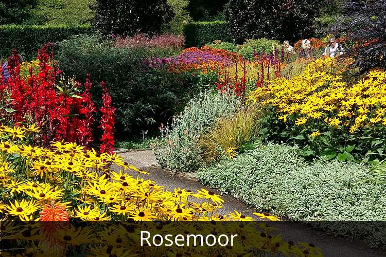 Castle Drogo Gardens